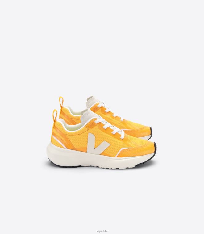 Veja niños cordones elásticos canarios alveomesh ouro pierre PDFXH382 zapatos