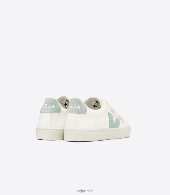 Veja niños esplar cuero sin cromo matcha blanco PDFXH329 zapatos
